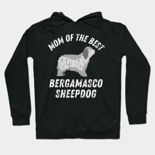 Mom of the best Bergamasco Sheepdog Life is better with my dogs Dogs I love all the dogs Hoodie